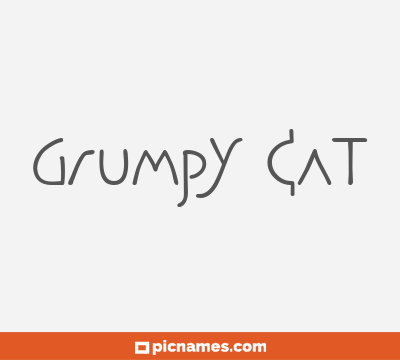 Grumpy Cat